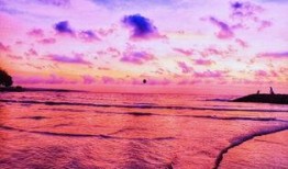 外国博主爆料巴厘岛视频,外国博主揭露惊人视频真相