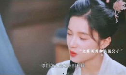 四叔四婶爆料视频大全,揭秘家族秘闻与真实生活