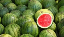 吃瓜全球最新爆料,吃瓜群众揭秘最新爆料风云